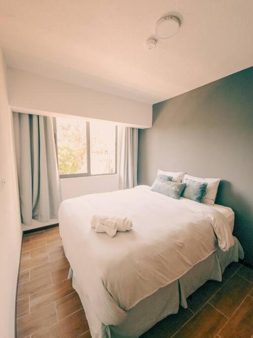 Entire Beautiful Condo With Rooftop Pool And Gym San Salvador Exteriör bild